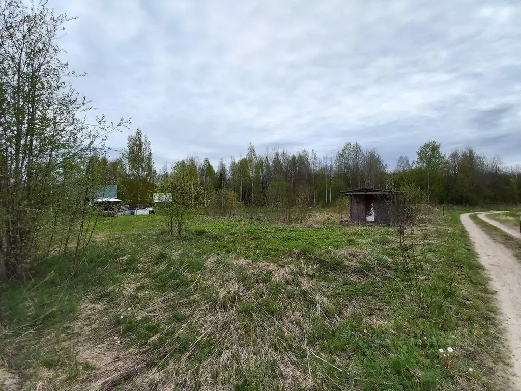Участок в Вологодская область, Шекснинский муниципальный округ, д. ... - Фото 1