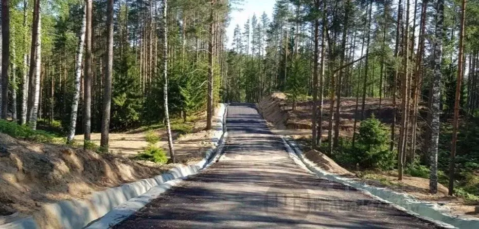 Участок в Ленинградская область, Всеволожский район, Куйвозовское ... - Фото 0