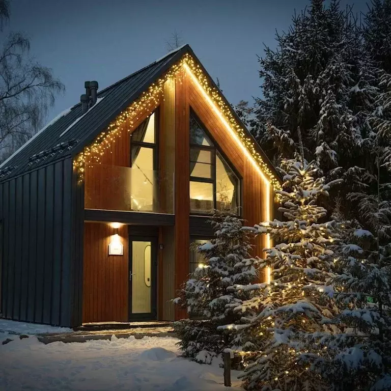 Дом в Ленинградская область, Выборгский район, Красносельское с/пос, ... - Фото 2