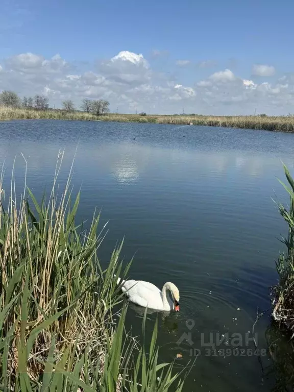 Участок в Крым, Симферопольский район, Николаевка пгт 9А (6.0 сот.) - Фото 0