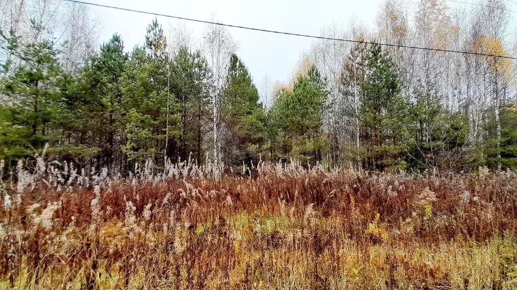 Участок в Кировская область, Слободской район, Шиховское с/пос, д. ... - Фото 0
