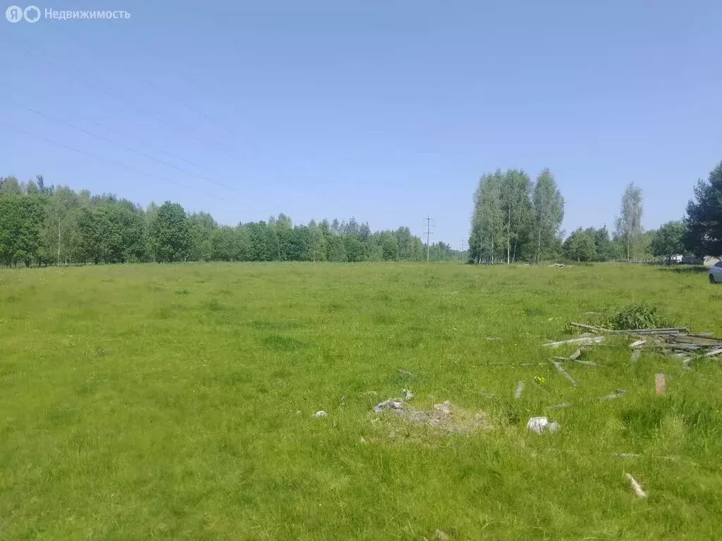 Участок в деревня Славное, Центральная улица (7600 м) - Фото 2