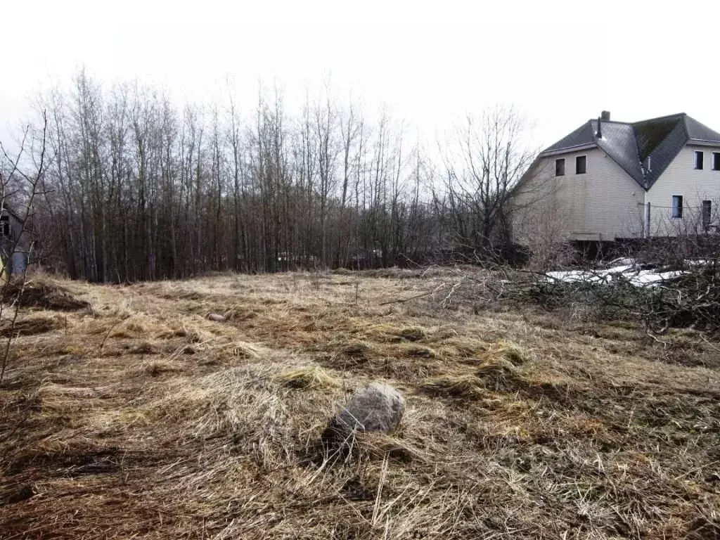 Участок в Ленинградская область, Ломоносовский район, Ропшинское ... - Фото 0