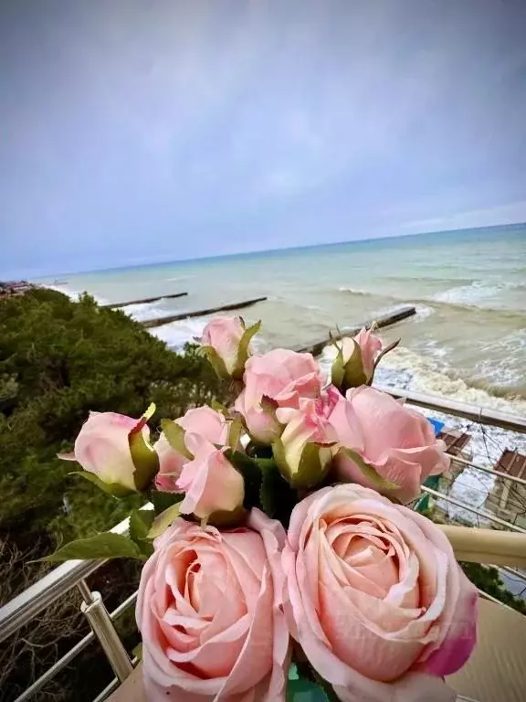1-к кв. Краснодарский край, Сочи ул. Просвещения, 118/1 (55.0 м) - Фото 1