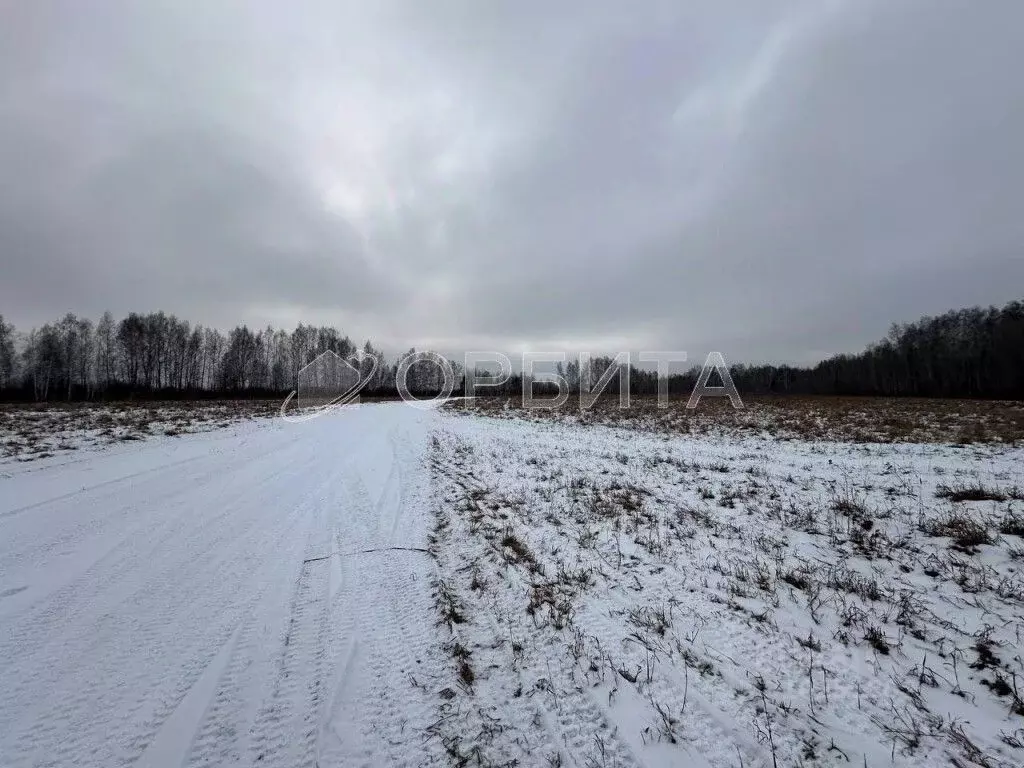 Участок в Тюменская область, Тюмень ул. Ленина (200.0 сот.) - Фото 1