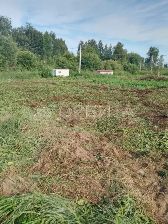 Участок в Тюменская область, Нижнетавдинский район, Сотовик садовое ... - Фото 0