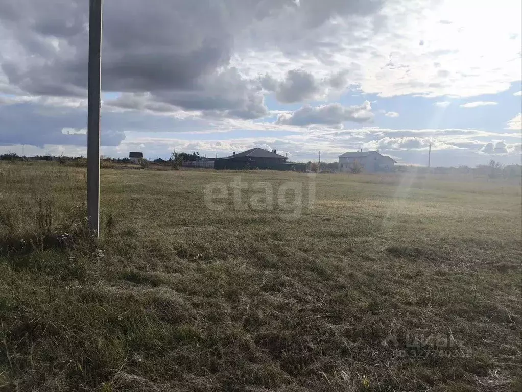 Участок в Воронежская область, Каширский район, Дзержинское с/пос, ... - Фото 1