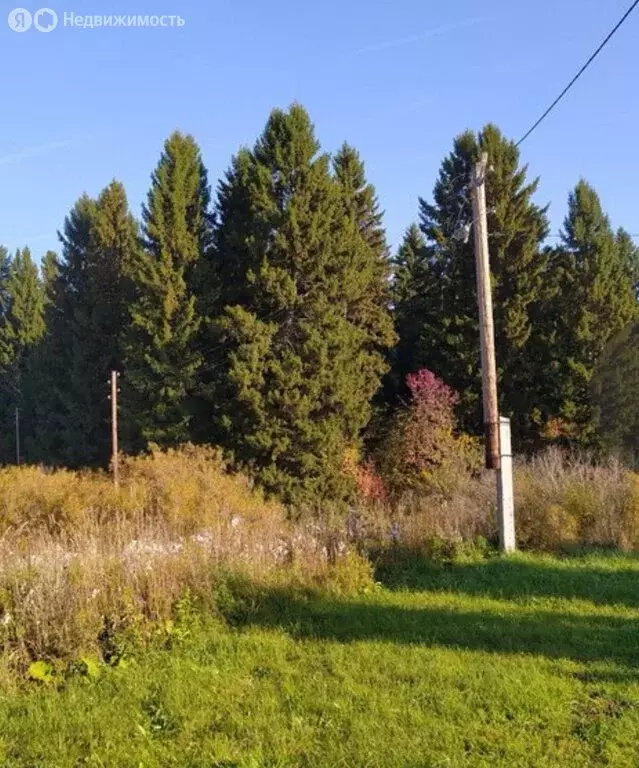 Участок в село Андреевка, Сиреневая улица (15 м) - Фото 1