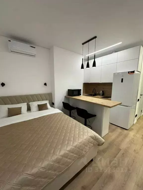 1-к кв. Краснодарский край, Сириус пгт ул. Таврическая, 7к7 (25.0 м) - Фото 0