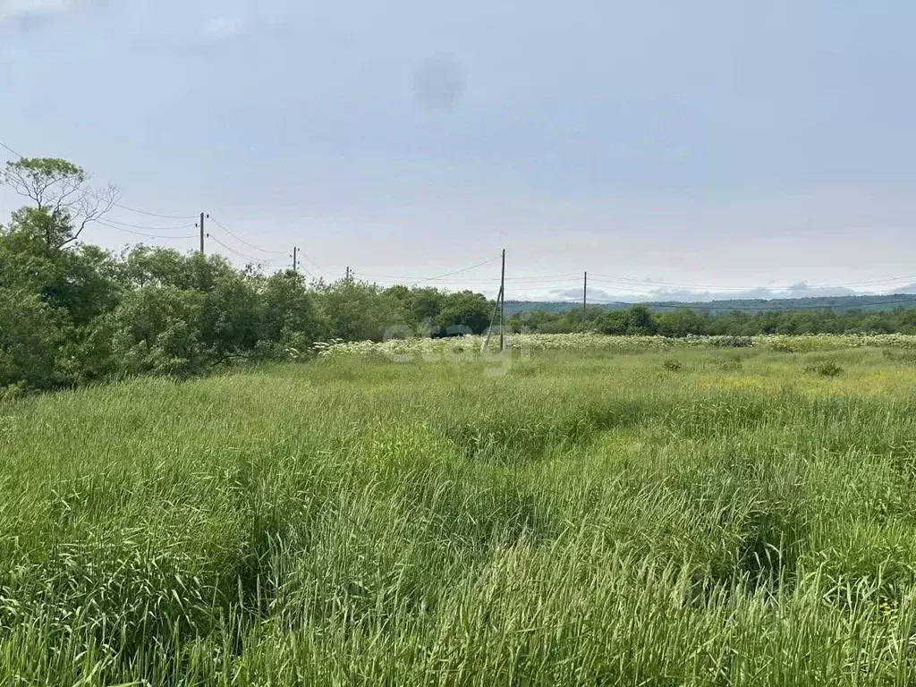 Участок в Сахалинская область, Долинский городской округ, с. Сокол ул. ... - Фото 1