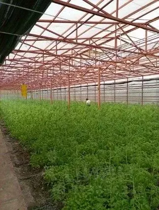 Производственное помещение в Ставропольский край, Изобильный ул. ... - Фото 2