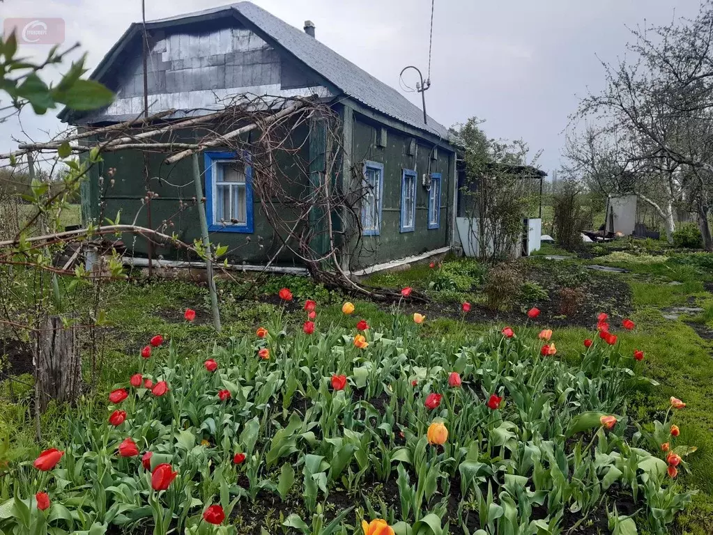 Купить Дом В Забугорье Верхнехавского Района