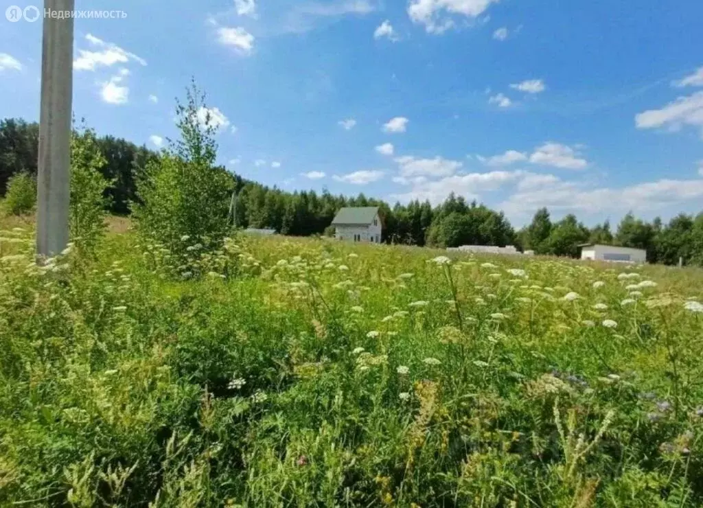 Участок в Костромской район, Бакшеевское сельское поселение, деревня ... - Фото 1