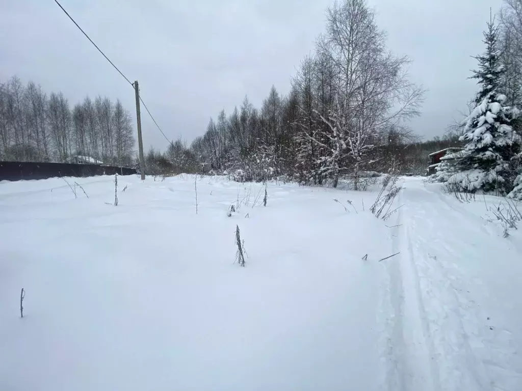 Участок в Московская область, Дмитровский муниципальный округ, ... - Фото 1