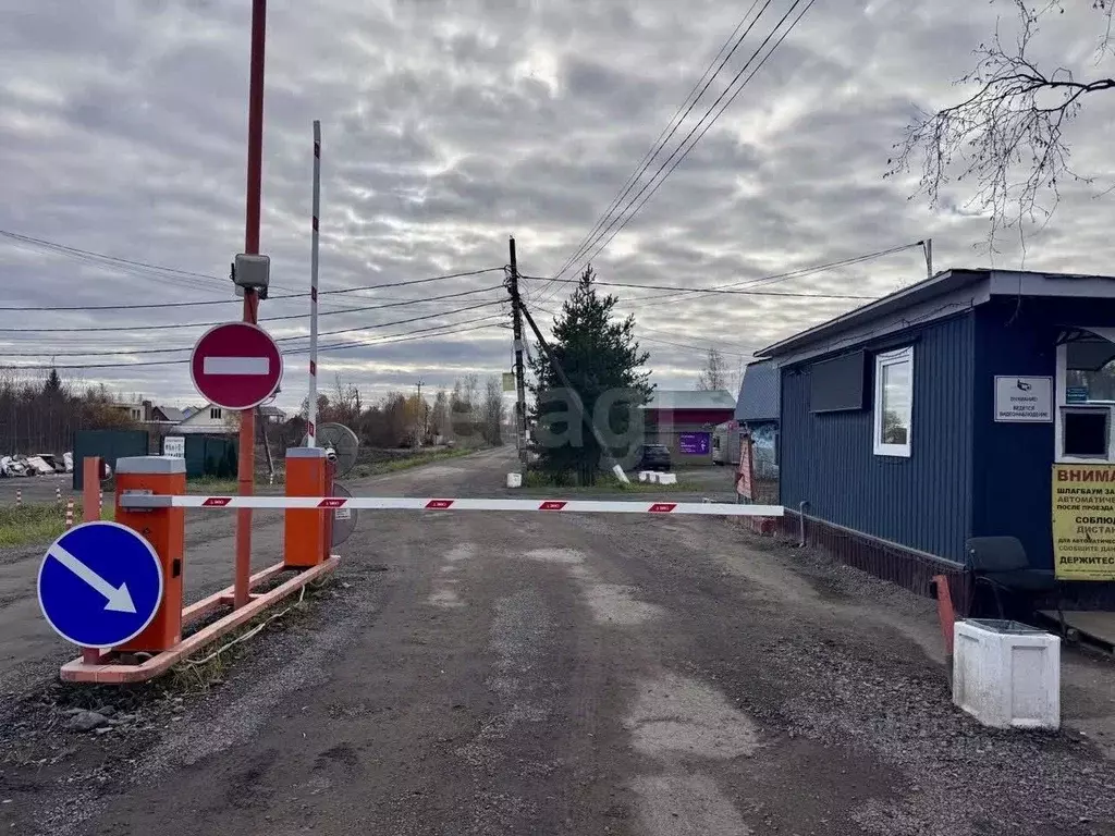 Участок в Ленинградская область, Ломоносовский район, Виллозское ... - Фото 1