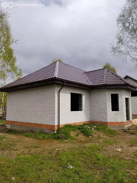 Дом в Нижегородская область, муниципальный округ Бор, деревня ... - Фото 1
