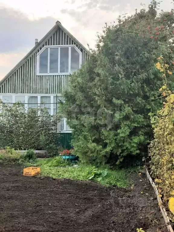 Дом в Алтайский край, Бийский район, Березка СНТ ул. Яблоневая, 98 (43 ... - Фото 1