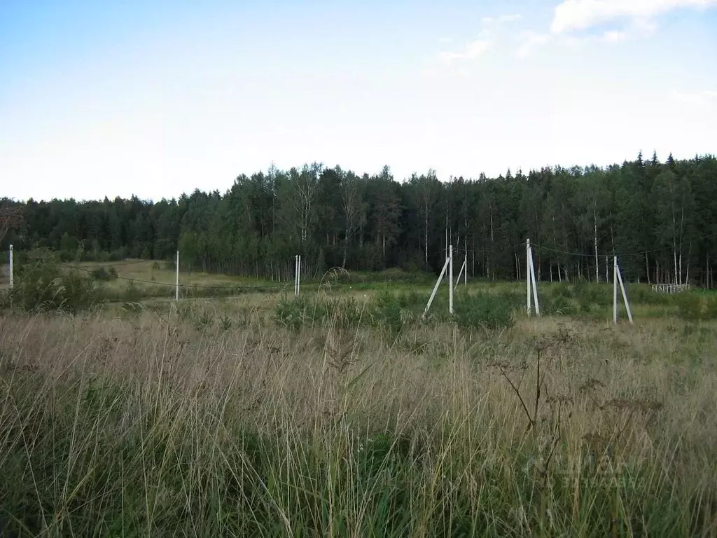 Участок в Ленинградская область, Ломоносовский район, Гостилицкое ... - Фото 2