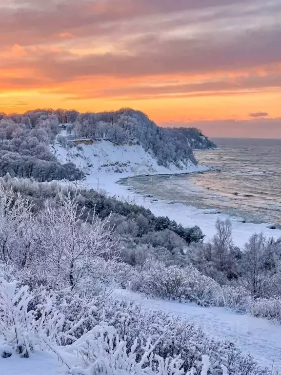 Участок в Калининградская область, Зеленоградский муниципальный округ, ... - Фото 2