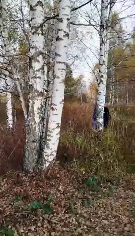 Участок в Нижегородская область, Дивеевский муниципальный округ, с. ... - Фото 1