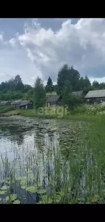 Участок в Псковская область, Новоржевский муниципальный округ, д. ... - Фото 2