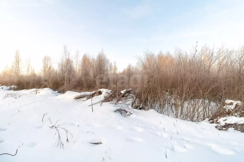 Участок в Нижнетавдинский район, садовое товарищество Моторостроитель, ... - Фото 1