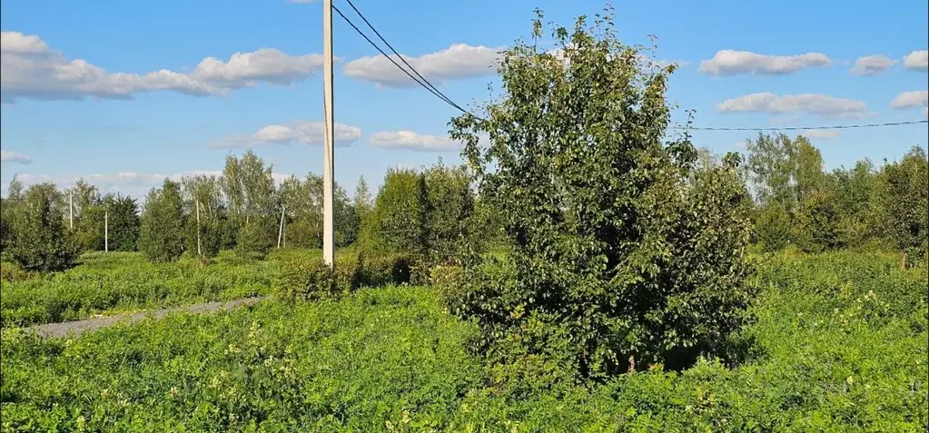 Участок в Московская область, Ступино городской округ, Новое Лисичкино ... - Фото 1