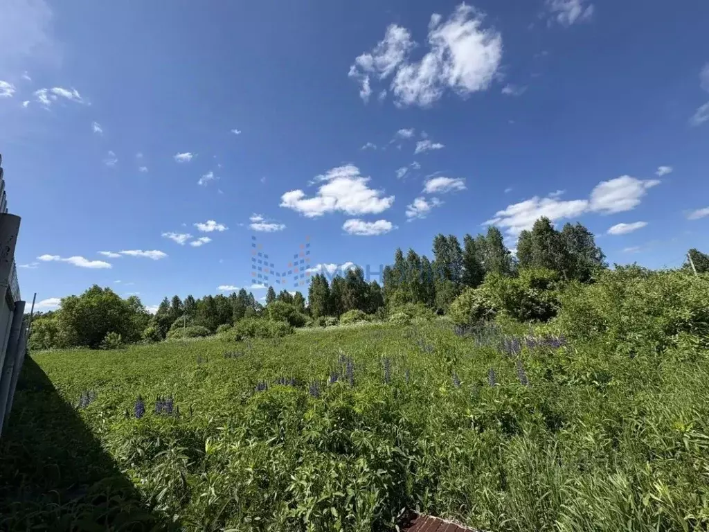 Участок в Нижегородская область, Богородский муниципальный округ, д. ... - Фото 1