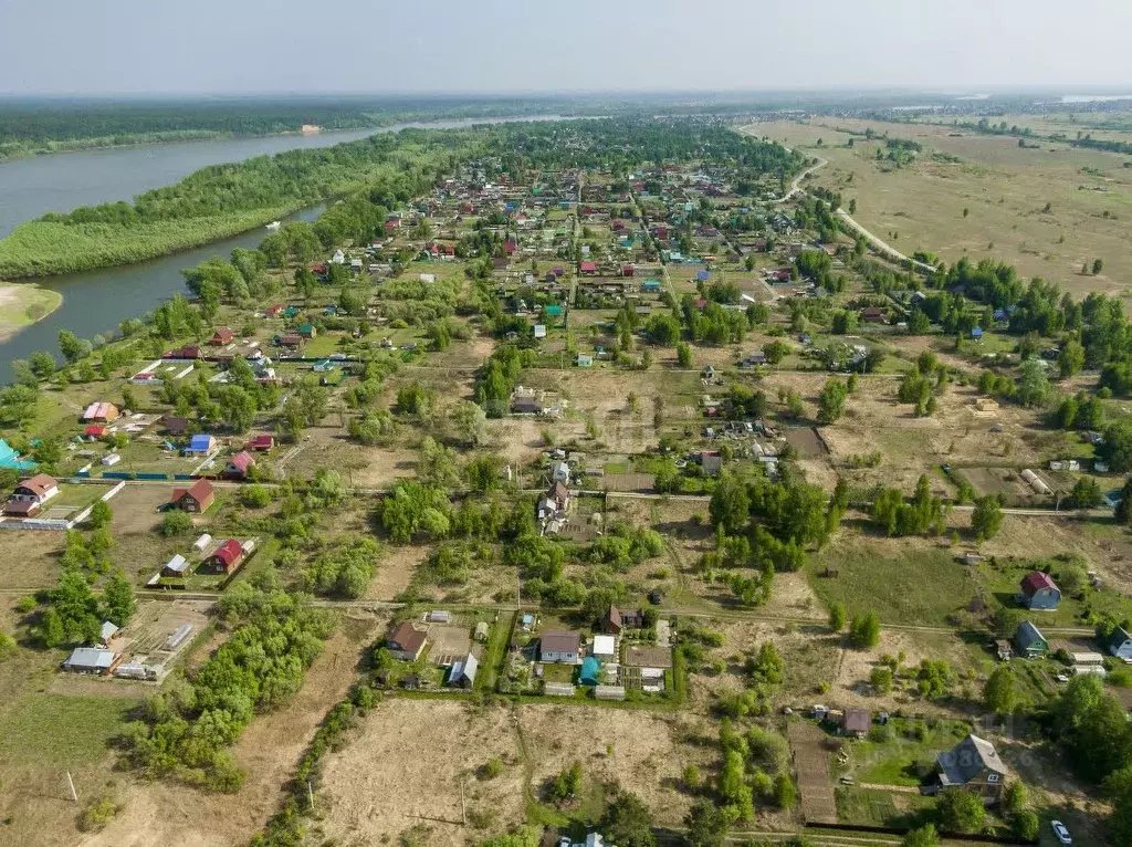 Участок в Новосибирская область, Колыванский район, Ежевичка СНТ 116 ... - Фото 1