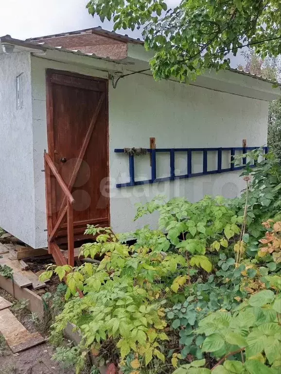 Дача 20 м на участке 8 сот. - Фото 0