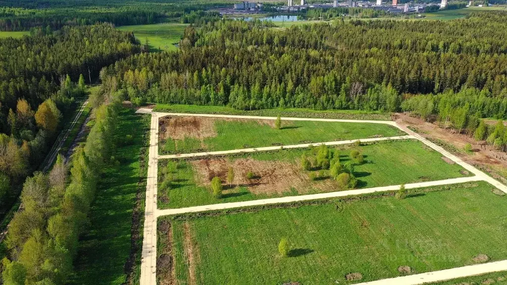 Участок в Ленинградская область, Всеволожский район, Романовское ... - Фото 0