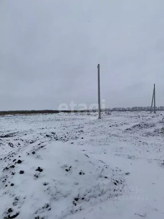 Участок в Белгородская область, Белгородский район, Головинское с/пос, ... - Фото 1