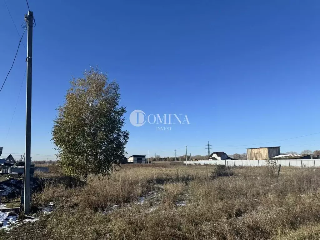 Участок в Новосибирская область, Ордынский район, с. Красный Яр ул. ... - Фото 1