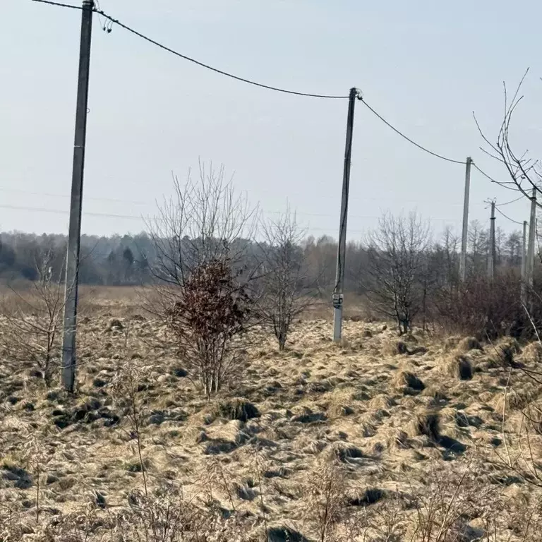 Участок в Калининградская область, Гурьевский муниципальный округ, ... - Фото 1