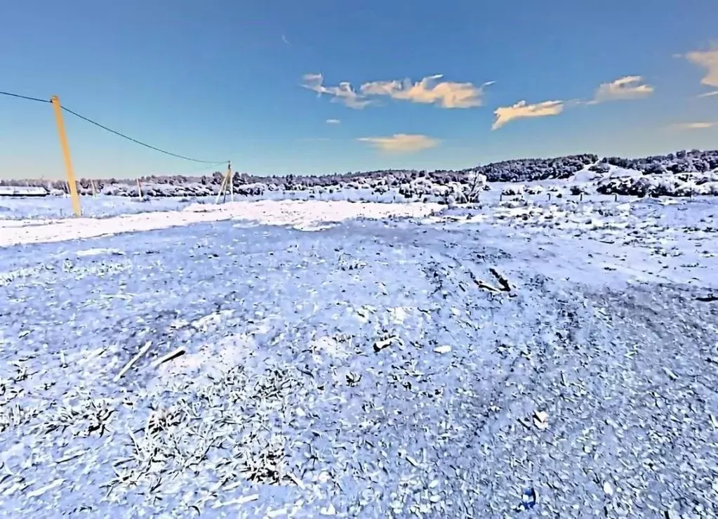 Участок в Амурская область, Серышевский муниципальный округ, с. ... - Фото 1