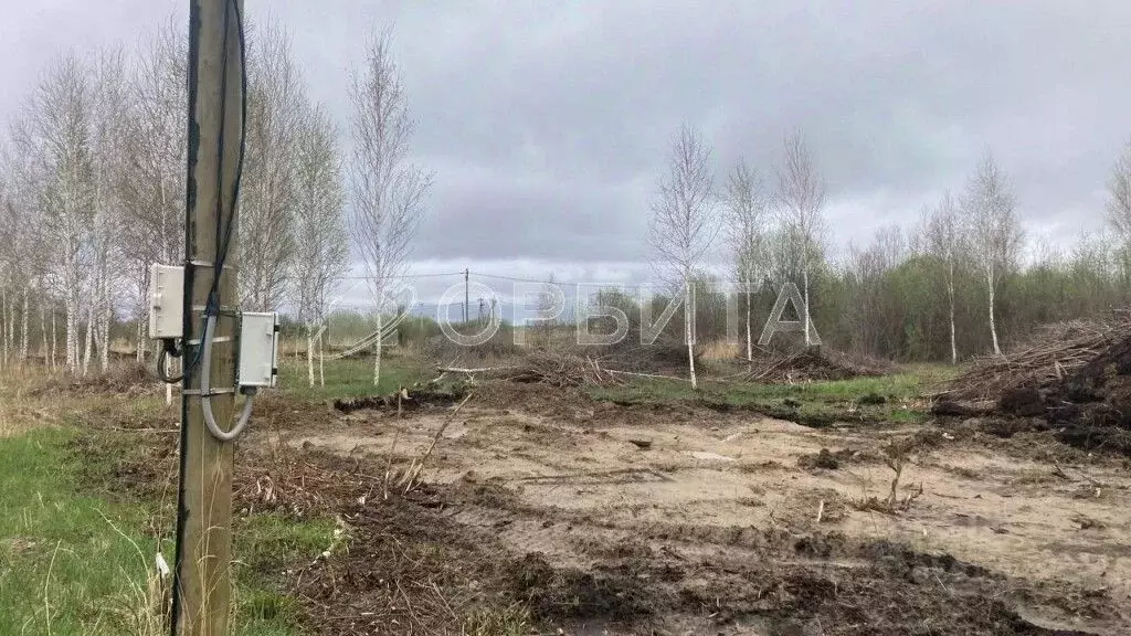 Участок в Тюменская область, Тюмень Большое Царево-2 СНТ, ул. Чистая ... - Фото 1