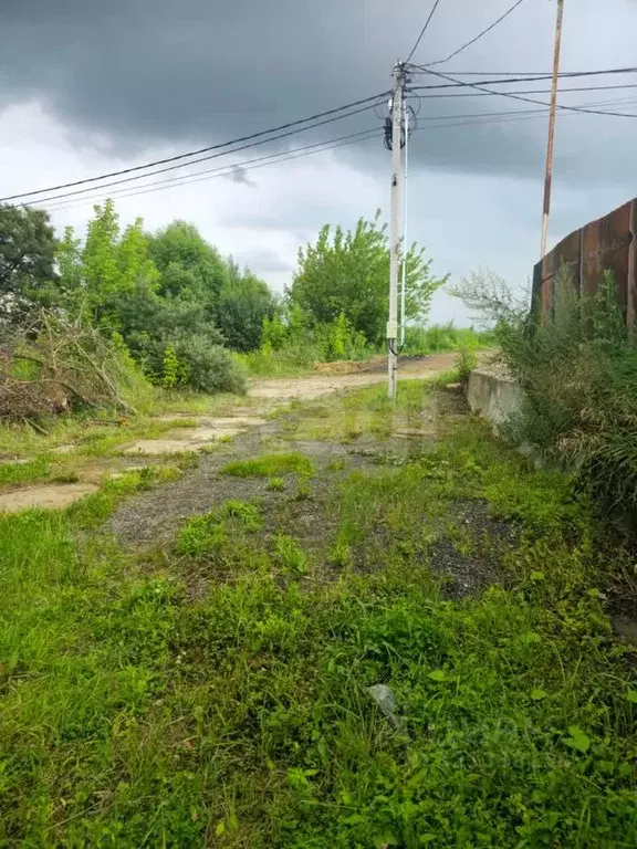 Участок в Московская область, Домодедово городской округ, д. Заболотье ... - Фото 1