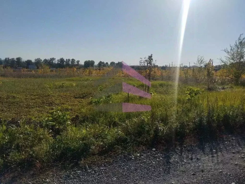 Участок в Воронежская область, Семилукский район, Губаревское с/пос, ... - Фото 2