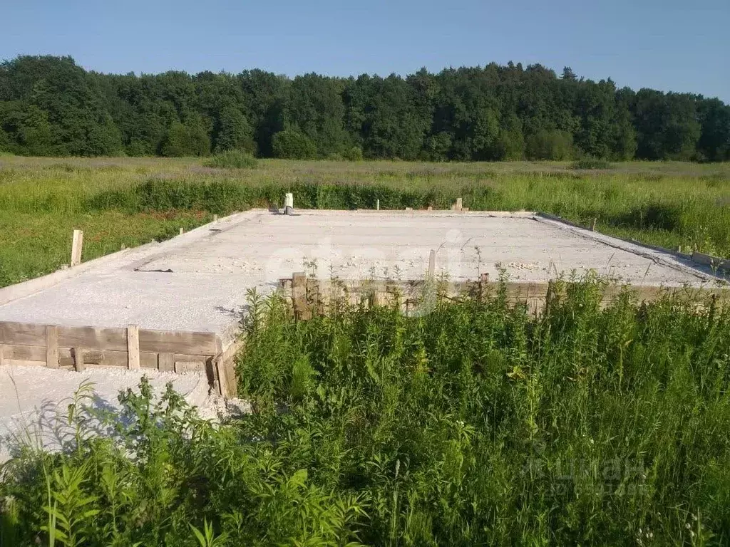 Участок в Тульская область, Алексинский район, д. Егнышевка  (8.0 ... - Фото 0