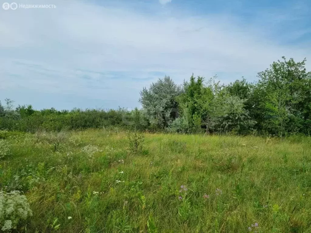 Дом в Елшанское муниципальное образование, СТ Дубрава (35 м) - Фото 1