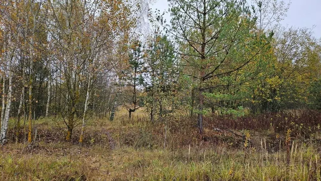 Участок в Московская область, Павлово-Посадский городской округ, с. ... - Фото 2
