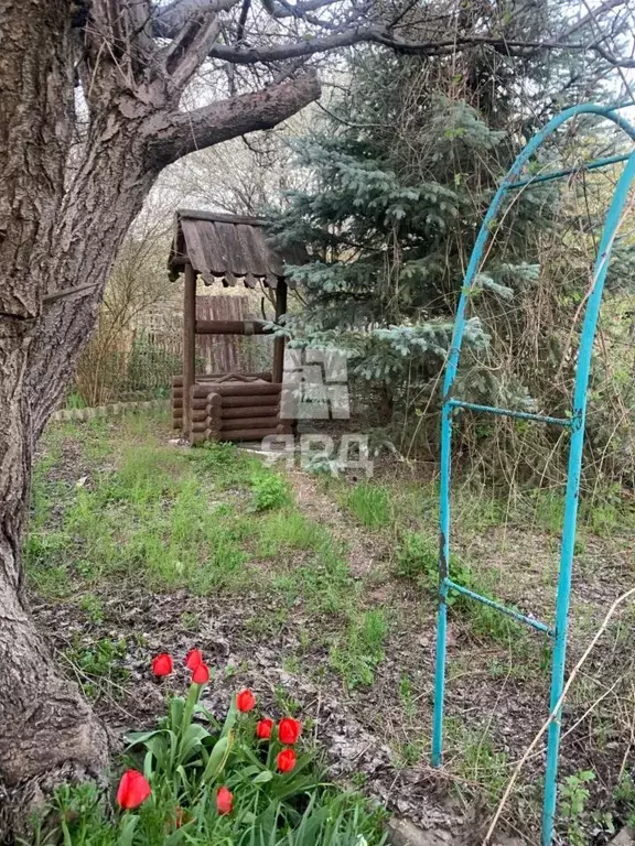 Участок в Ростовская область, Неклиновский район, с. Самбек Клубный ... - Фото 2