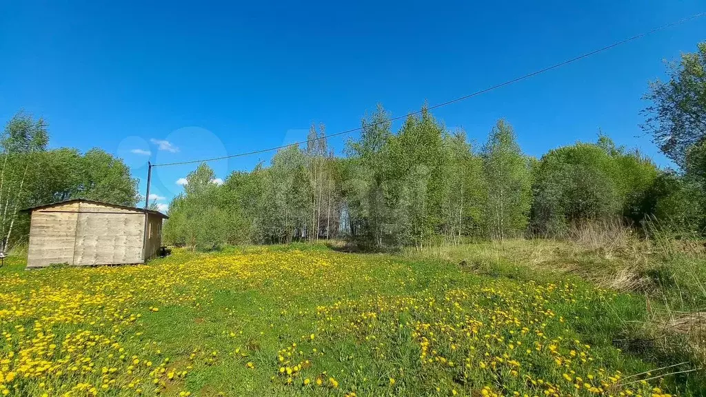 Участок 7,7 сот. (ИЖС) - Фото 1