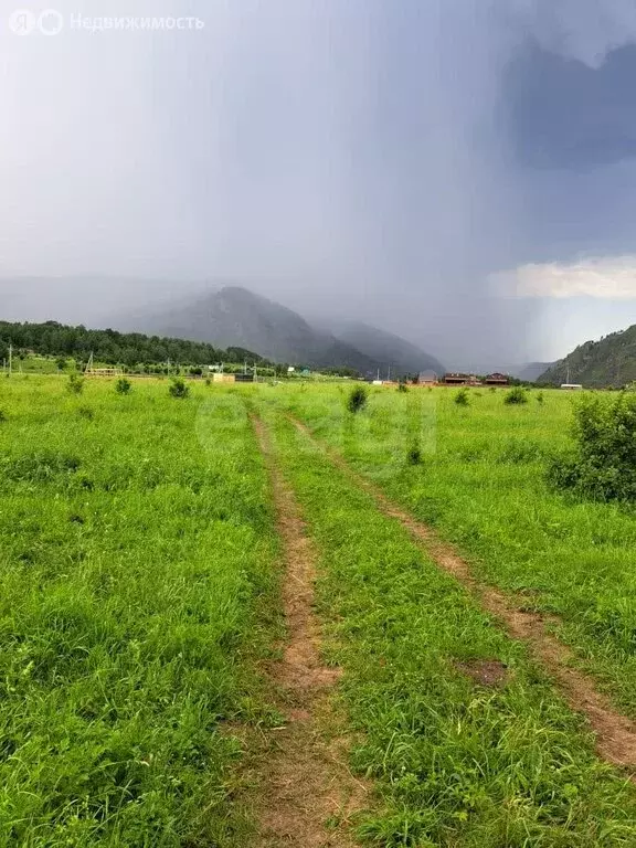 Участок в Чемальский район, село Анос (10.26 м) - Фото 1