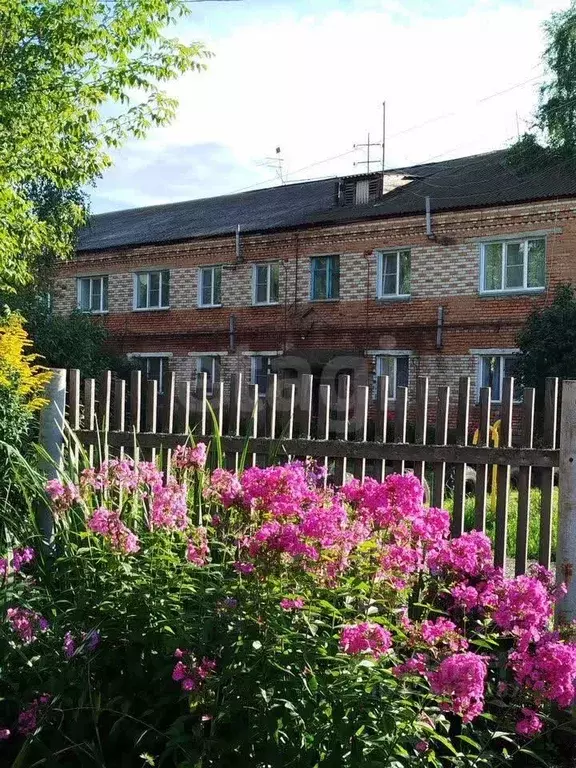 3-к кв. Алтайский край, Зональный район, пос. Сафоновка Цветочная ул., ... - Фото 1