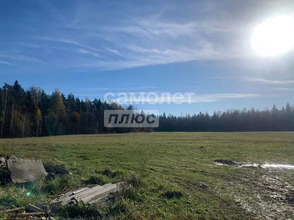 Участок в Ленинградская область, Тосненское городское поселение, д. ... - Фото 1