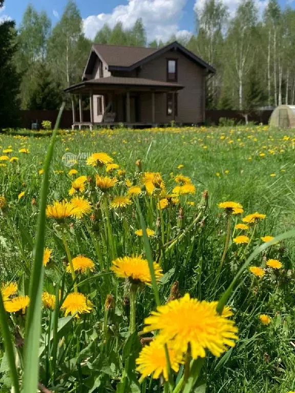 Продается дом в д. Селевино - Фото 2