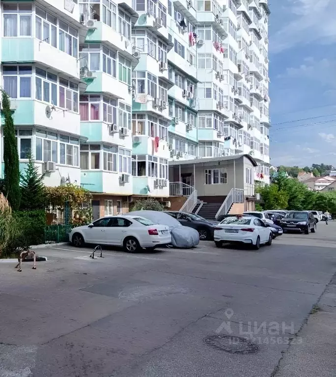 Студия Краснодарский край, Сочи Новый Сочи мкр, ул. Бамбуковая, 42а ... - Фото 0