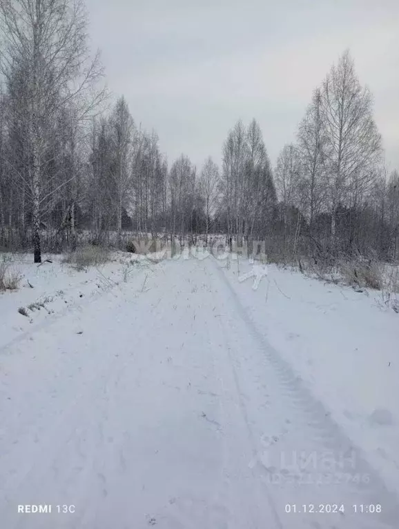 Участок в Новосибирская область, Новосибирский район, Барышевский ... - Фото 0