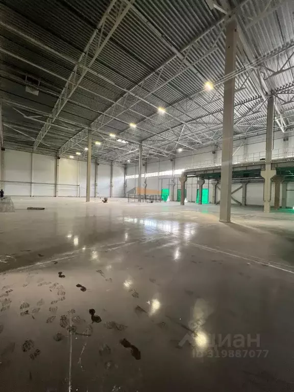 Склад в Московская область, Солнечногорск городской округ, Радумля ... - Фото 1